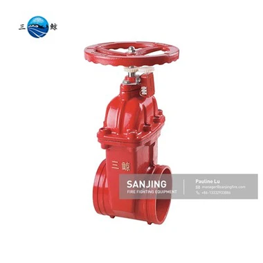 Rising Spindle Gate Valve